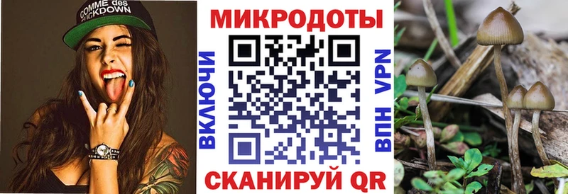 Псилоцибиновые грибы Psilocybine cubensis  маркетплейс состав  Губаха 